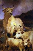 The wild cattle of Chillingham, 1867 Sir edwin henry landseer,R.A.
